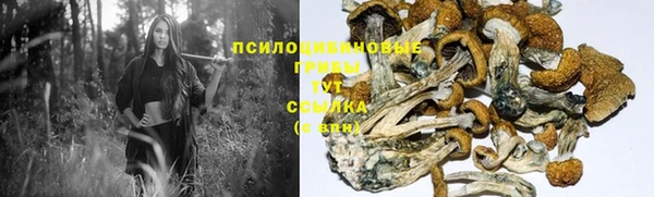гидропоника Балахна