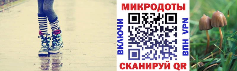 Галлюциногенные грибы Magic Shrooms  мориарти телеграм  Волхов 